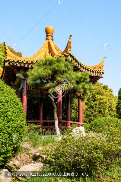 綠博園園林景觀