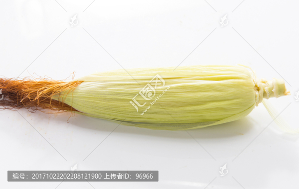 玉米,農(nóng)家玉米,生玉米