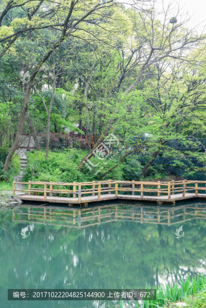 中山植物園園林曲橋