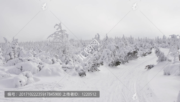 冬季景觀