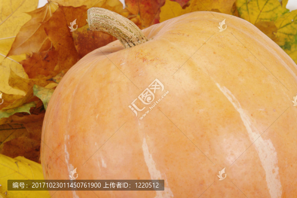 蔬菜