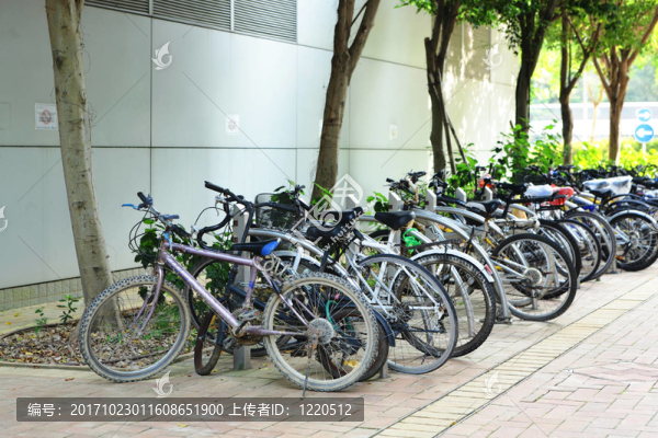 公園