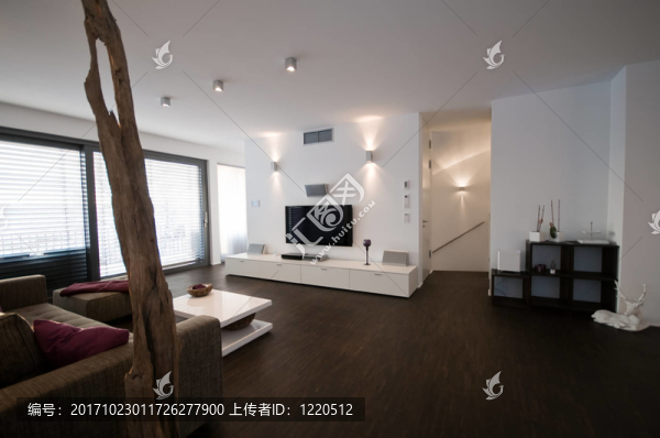 現(xiàn)代客廳