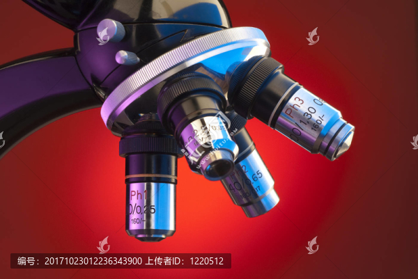 科學(xué)研究