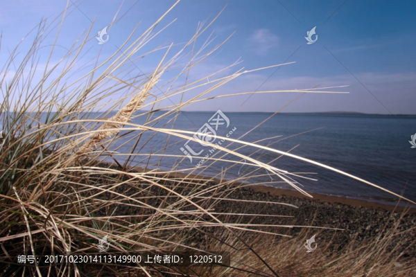 海灘
