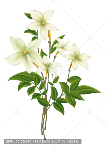 花卉