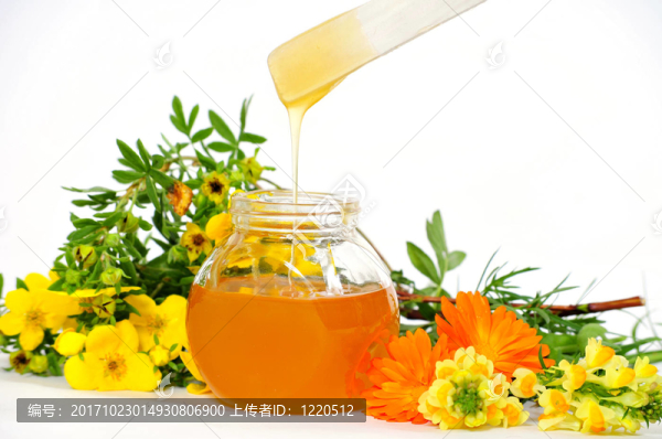 蜂蜜保健杯