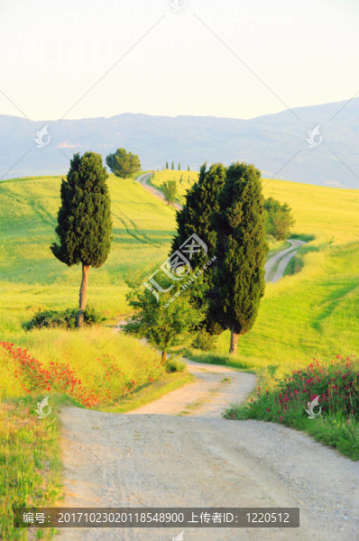 podere,terrapille,12