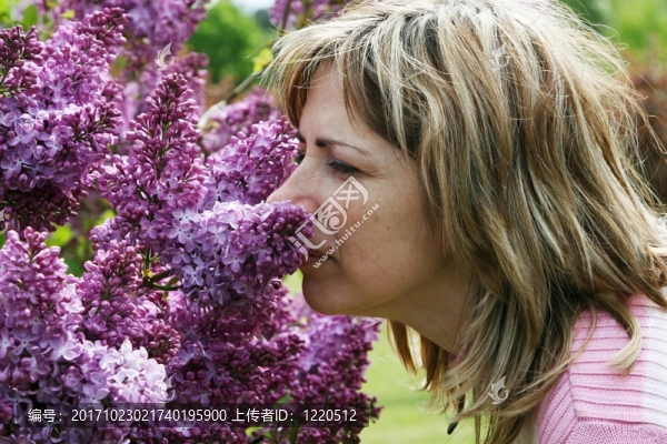 丁香花成人女性自然花人像面部的夏天