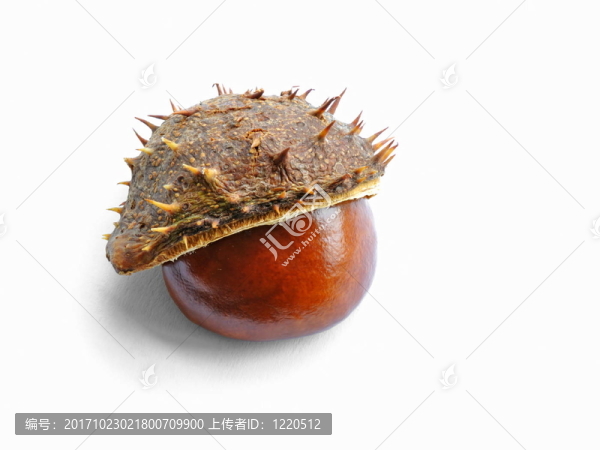 季節(jié)