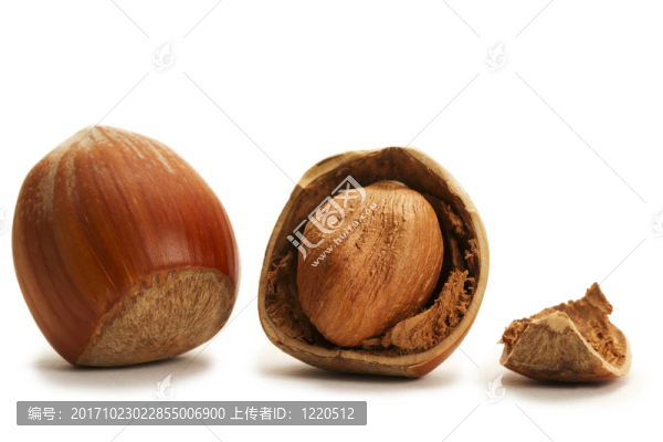 破碎完整的榛子