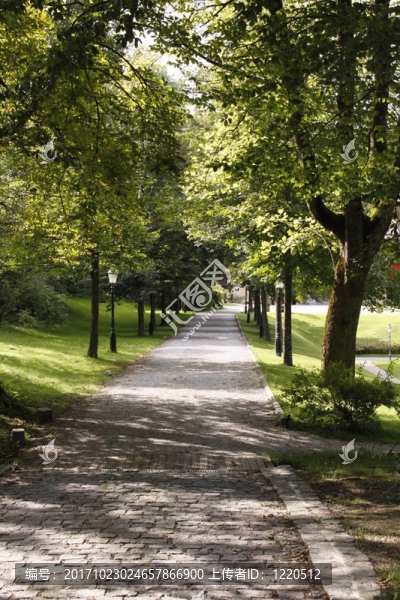 在沃根城堡公園