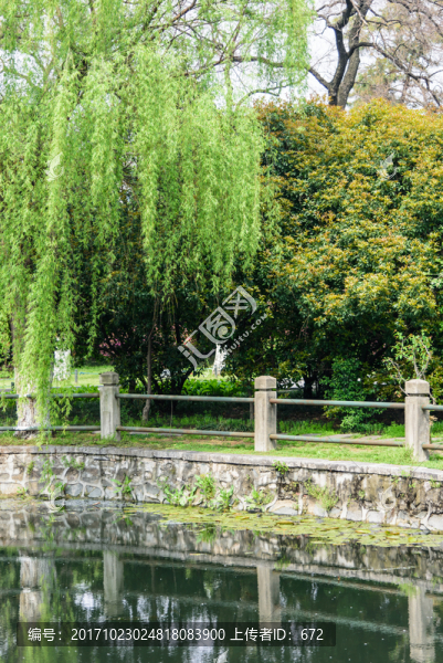 湖邊美景