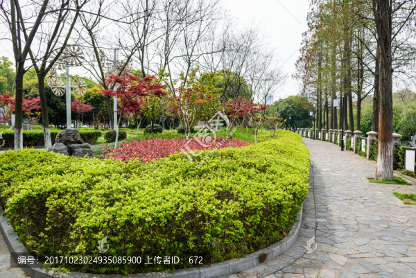 和平公園園林綠化