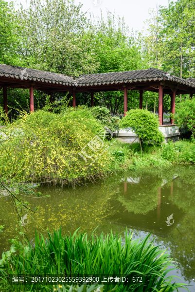 湖邊美景