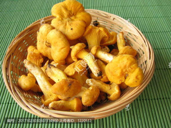 在一個籃子里的雞油