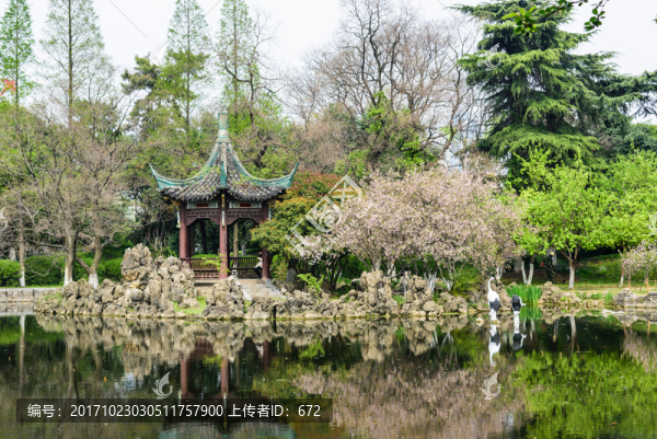 湖邊美景