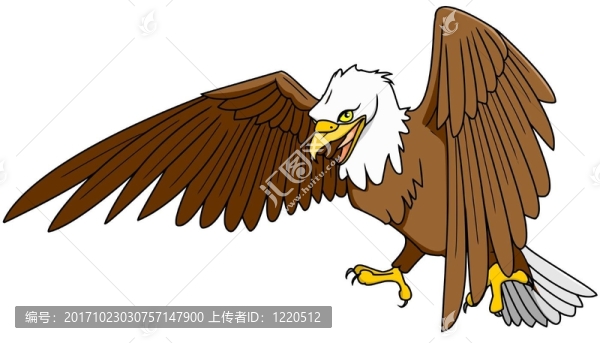 禿頭鷹