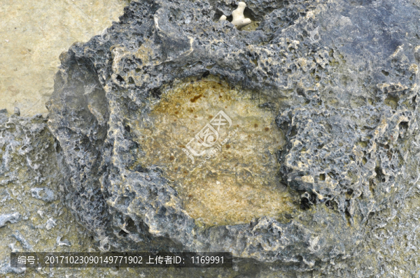 海灘巖石