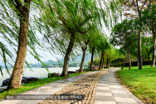 柳樹綠道
