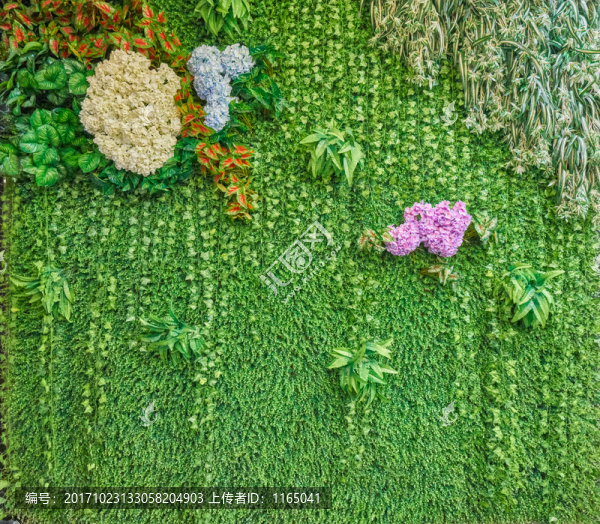 高清,花卉綠植背景墻