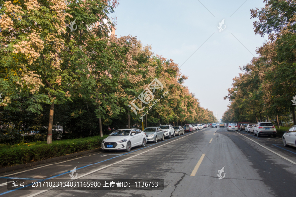 城市道路