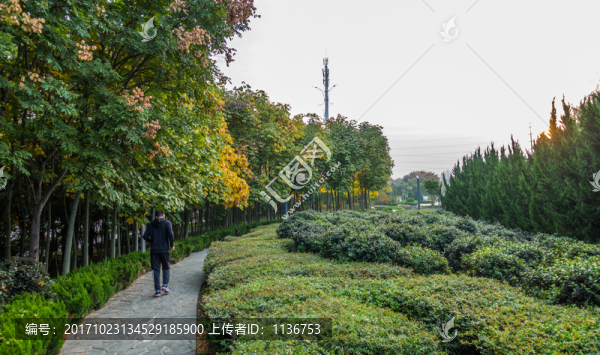 公園小徑