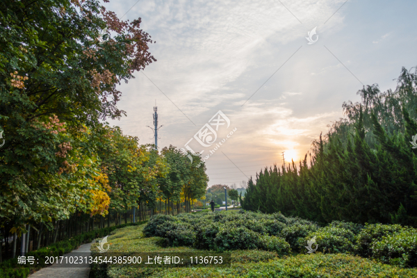 公園小徑