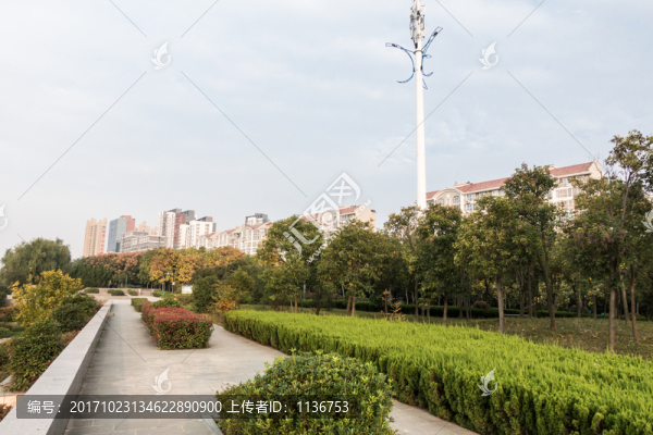 公園小徑