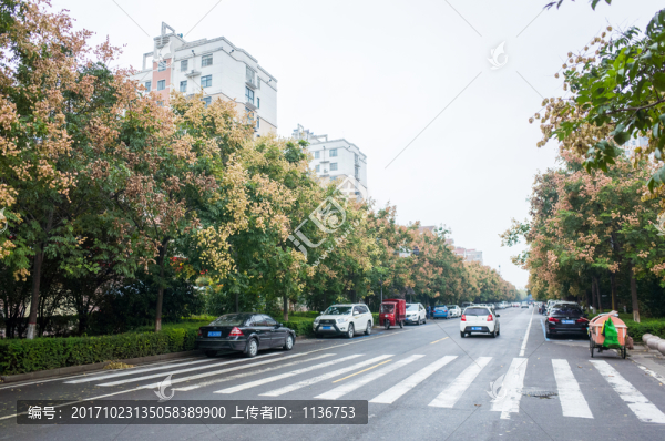城市道路