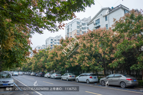 城市道路