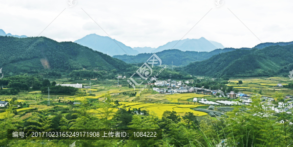 汀溪鄉(xiāng)風(fēng)光