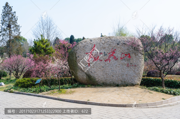 梅花山梅花