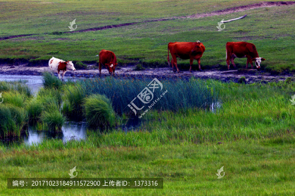 烏蘭布統(tǒng)