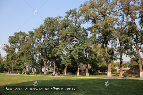 沈陽,新樂遺址