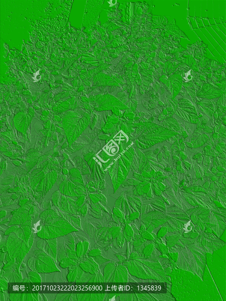 紋理,雕刻紋理,雕刻,葉紋理