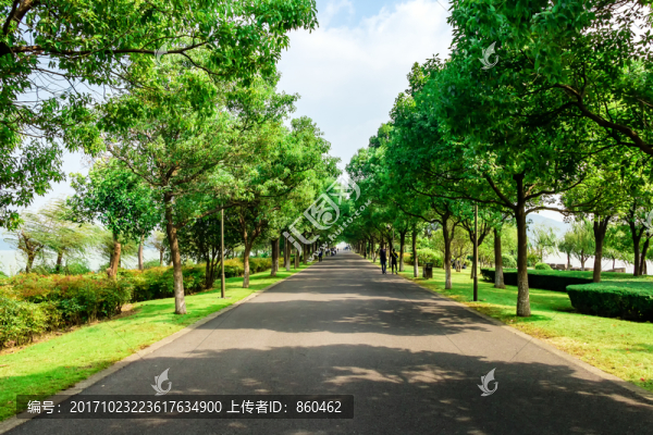 景觀直道
