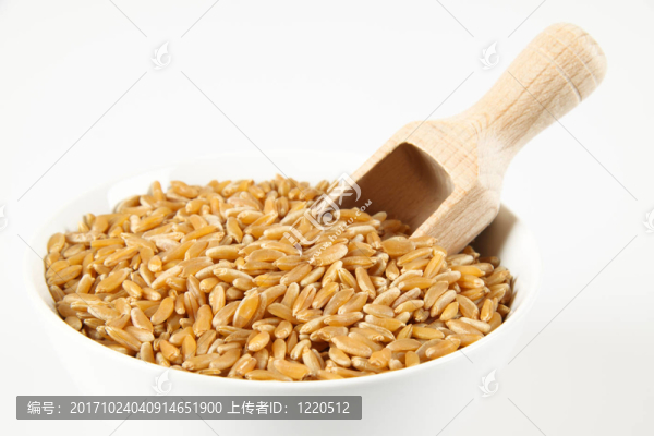 糧食