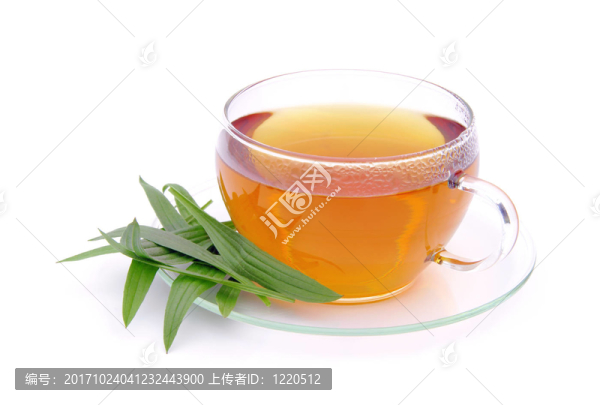 茶車前草茶ribwort車前草02