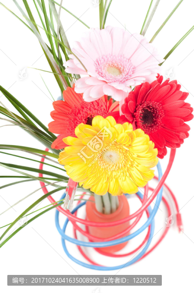 花卉