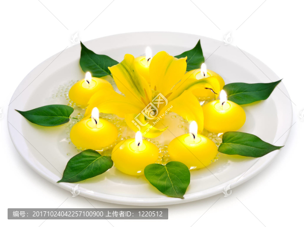 花卉