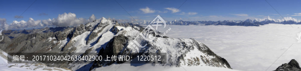 山