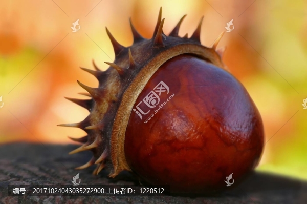 herbstleuchten