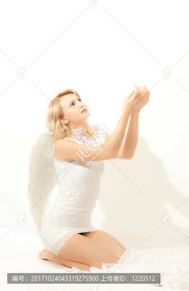 蝴蝶
