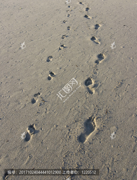 walk