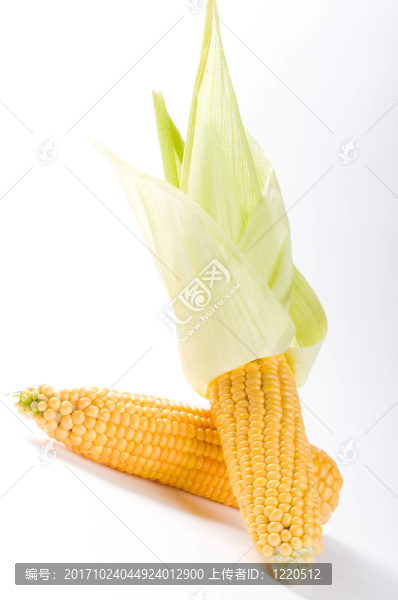 宏觀(guān)上