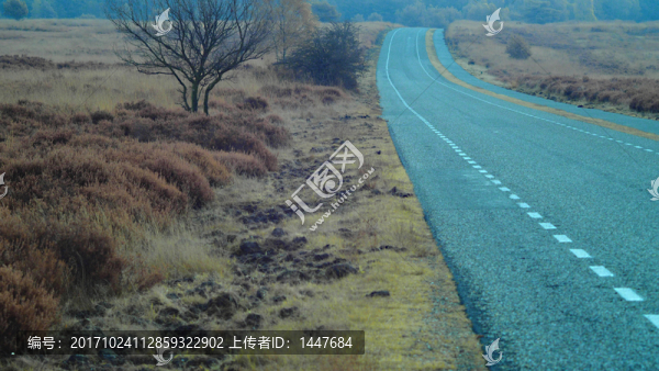 草原風(fēng)光公路