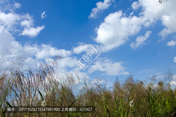 滇池濕地