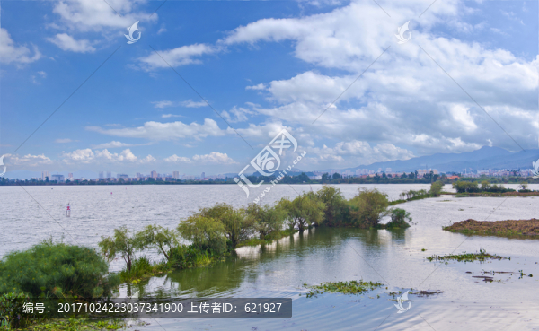 滇池濕地
