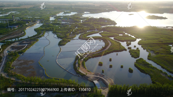 濕地公園